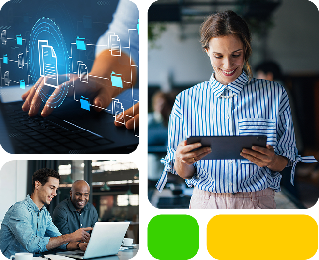 Master Data Management